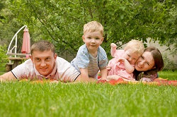 Helpful Gardeners in Highbury, N5